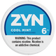 Zyn Cool Mint 6MG